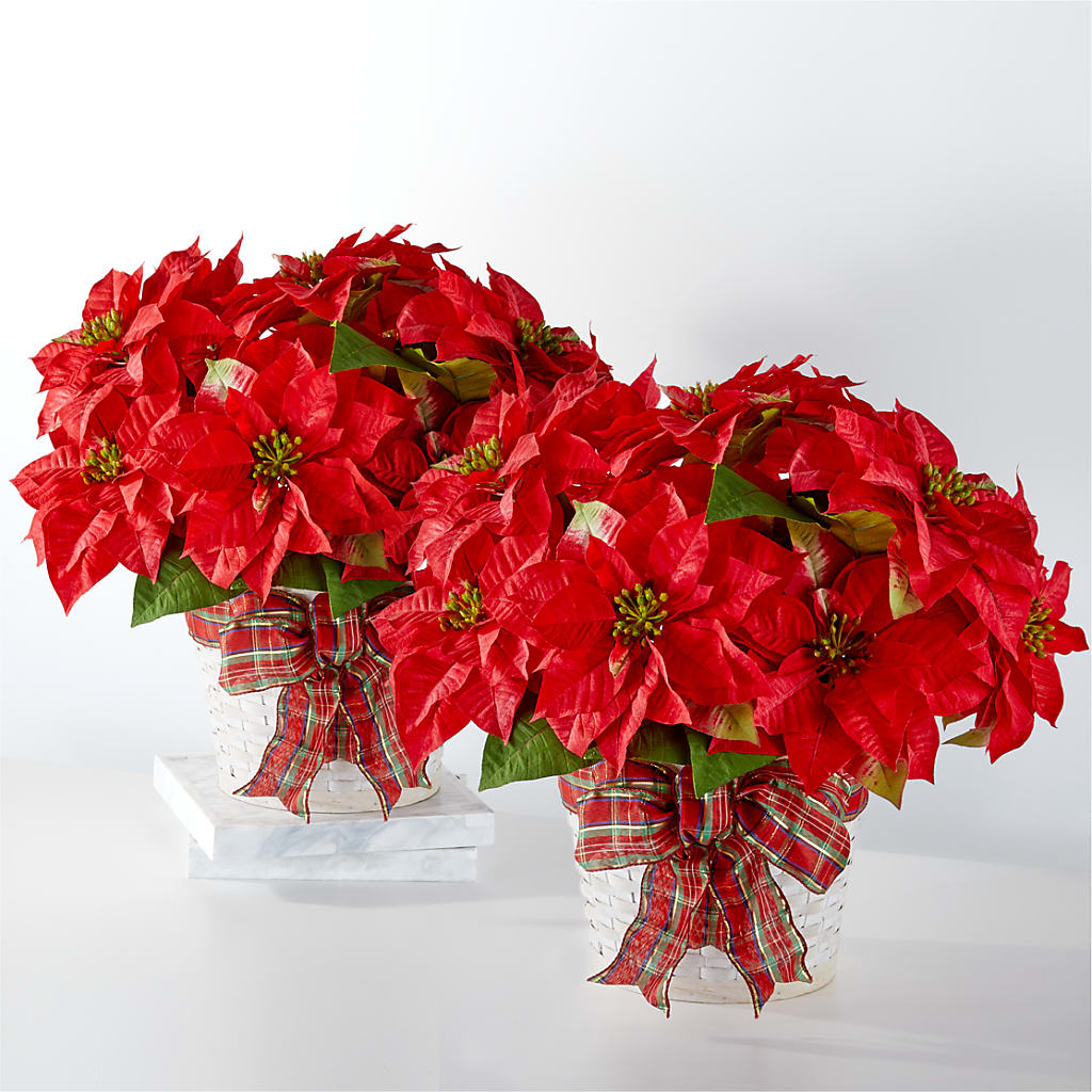 Happiest Holidays Poinsettia Bundle – Simply Flowers, Los Angeles CA