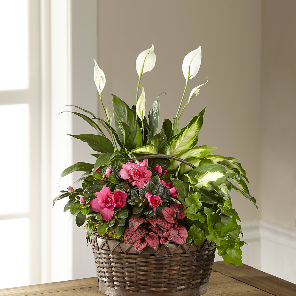 Dream in Pink Dishgarden – Simply Flowers, Los Angeles CA