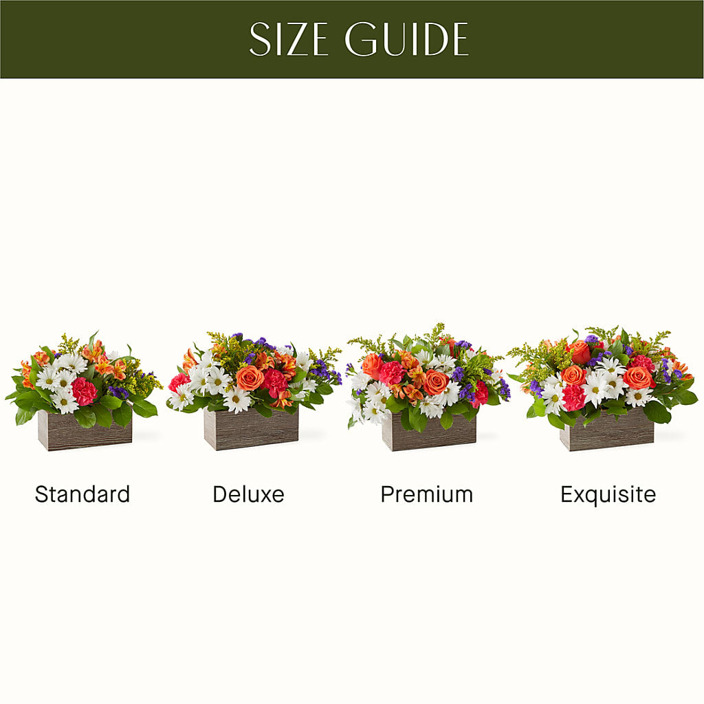 Oopsie Daisy Box Bouquet – Simply Flowers, Los Angeles CA