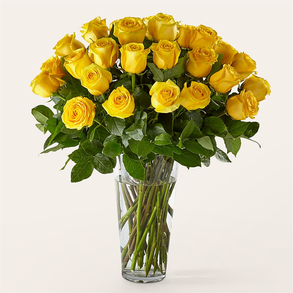 Long Stem Yellow Rose Bouquet – Simply Flowers, Los Angeles CA