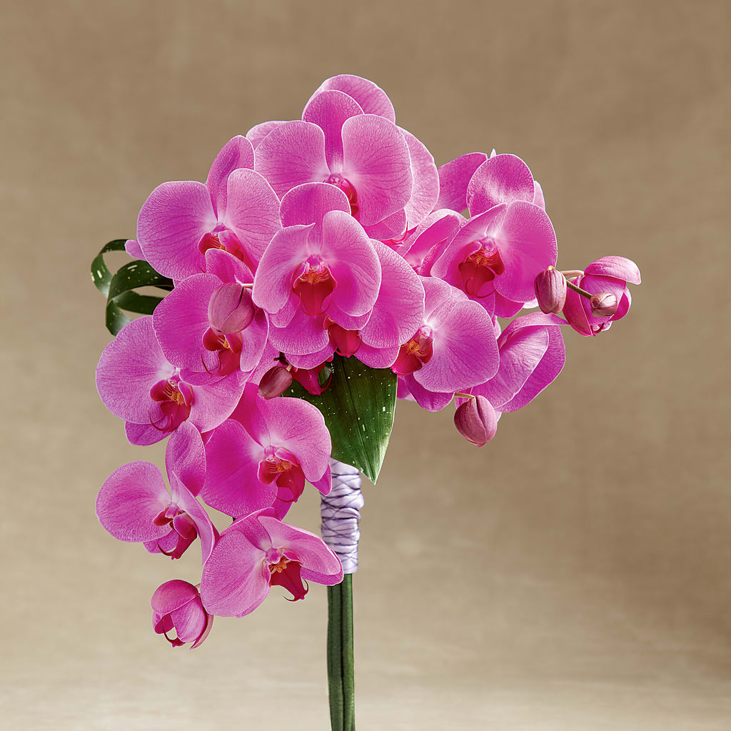 Glorious Bouquet – Simply Flowers, Los Angeles CA