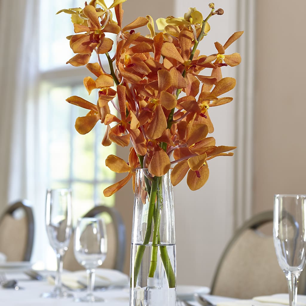Orange Mokara Bud Vase – Simply Flowers, Los Angeles CA
