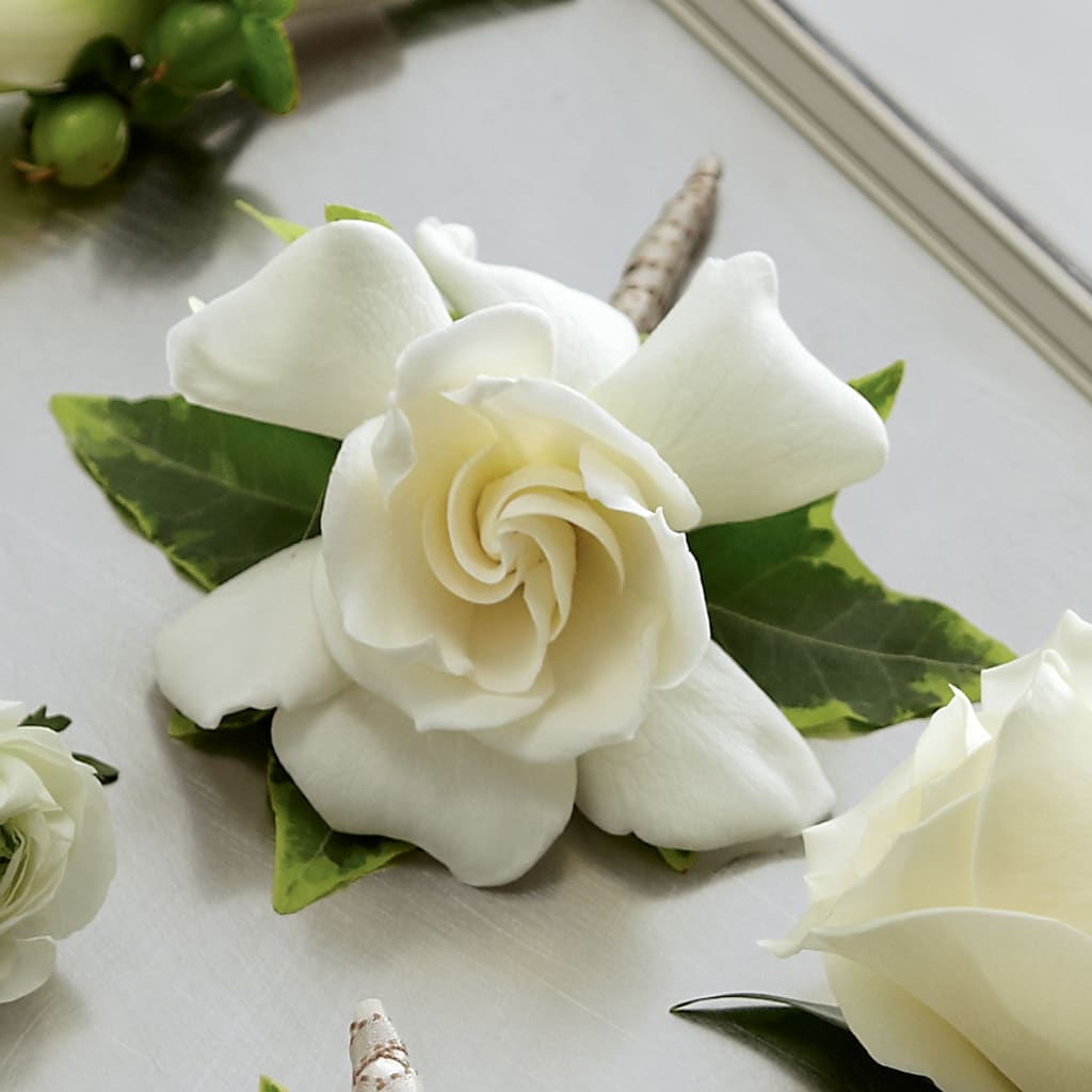 Gardenia Boutonniere – Simply Flowers, Los Angeles CA