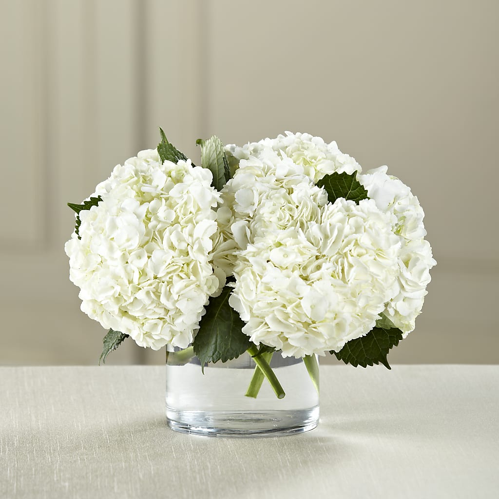 White Hydrangea Bouquet – Simply Flowers, Los Angeles CA