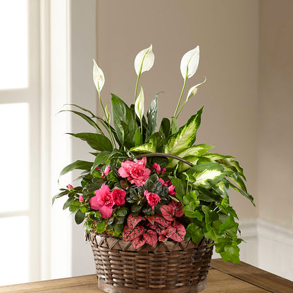 Dream in Pink Dishgarden –  Simply Flowers, Los Angeles CA