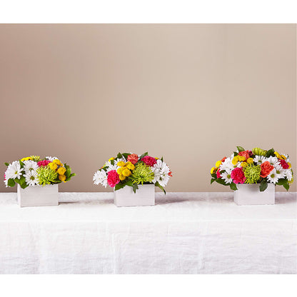 Sorbet Bouquet –  Simply Flowers, Los Angeles CA