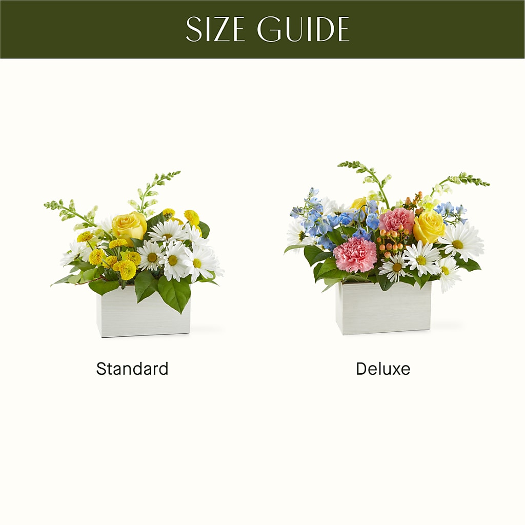 Sun Salutation Box Bouquet –  Simply Flowers, Los Angeles CA