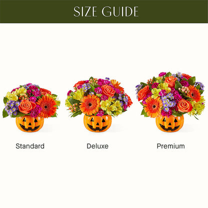 Tricks & Treats Pumpkin –  Simply Flowers, Los Angeles CA