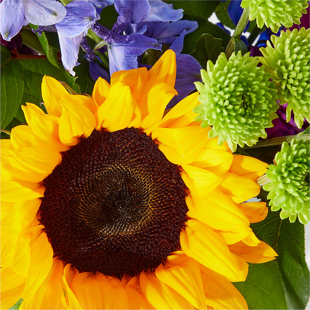 Catching Rays Bouquet –  Simply Flowers, Los Angeles CA