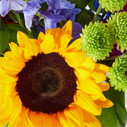 Catching Rays Bouquet –  Simply Flowers, Los Angeles CA