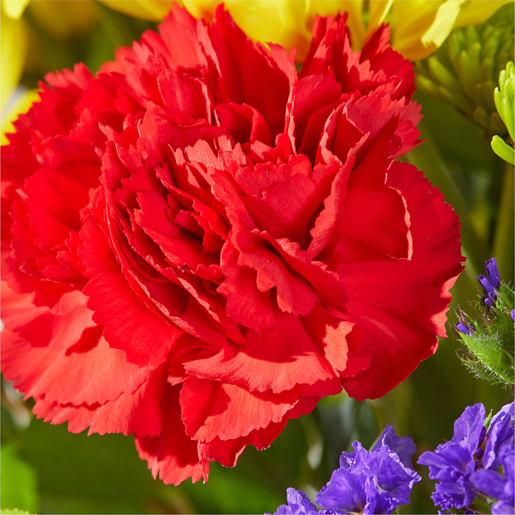 Brighter Days Bouquet –  Simply Flowers, Los Angeles CA
