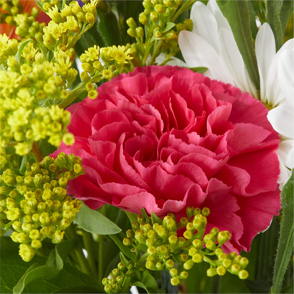 Oopsie Daisy Bouquet –  Simply Flowers, Los Angeles CA