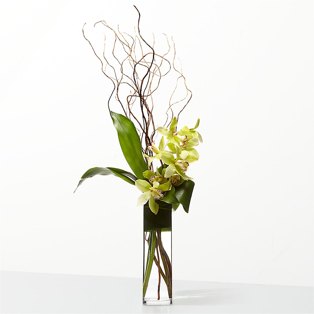 The Statement