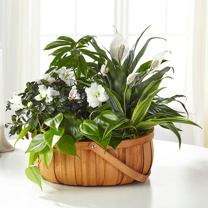 Serene Dishgarden –  Simply Flowers, Los Angeles CA