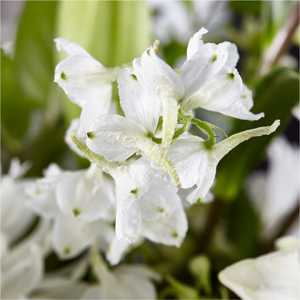 Classic Ivory – A Florist Original –  Simply Flowers, Los Angeles CA