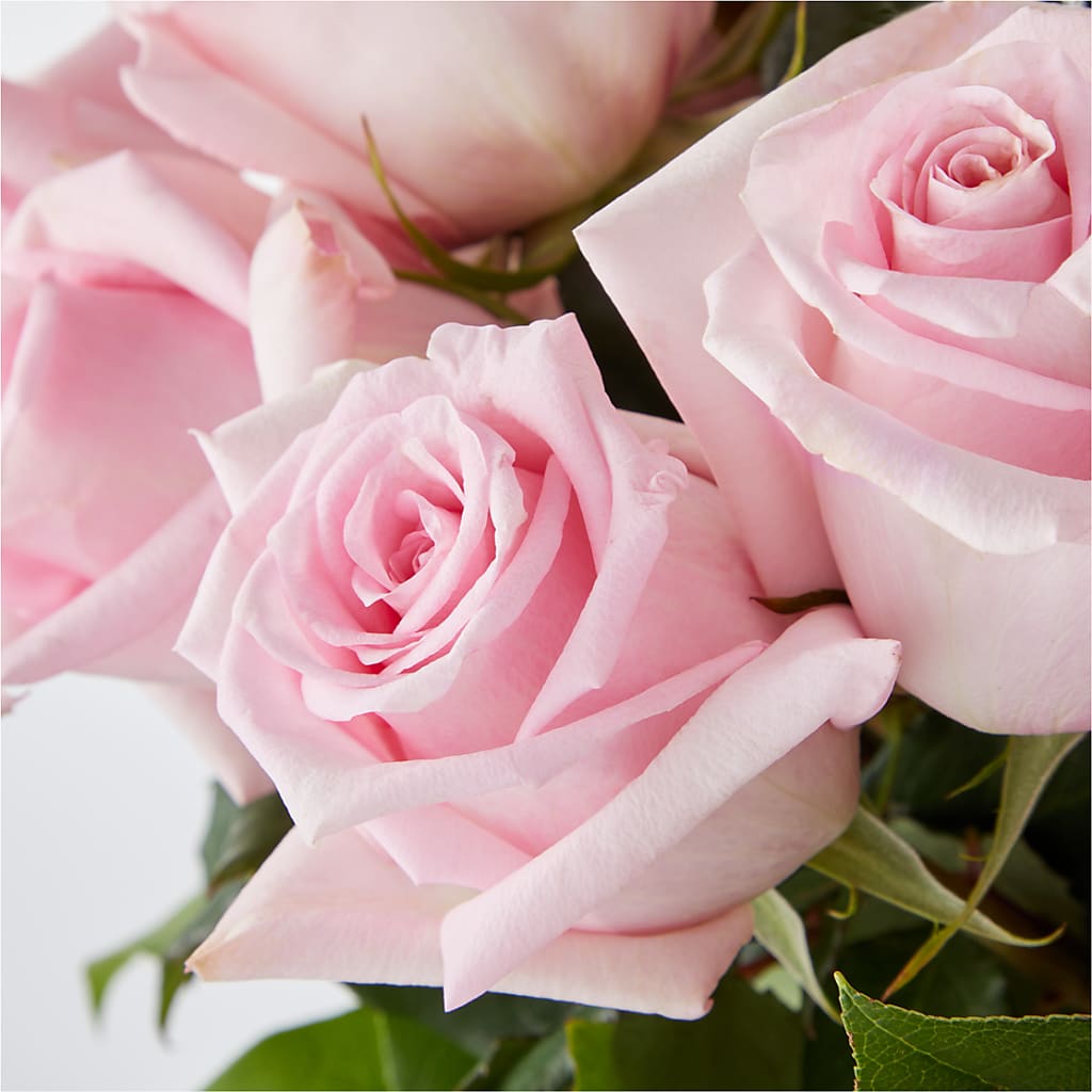 Picture Perfect Pink Rose Bouquet –  Simply Flowers, Los Angeles CA