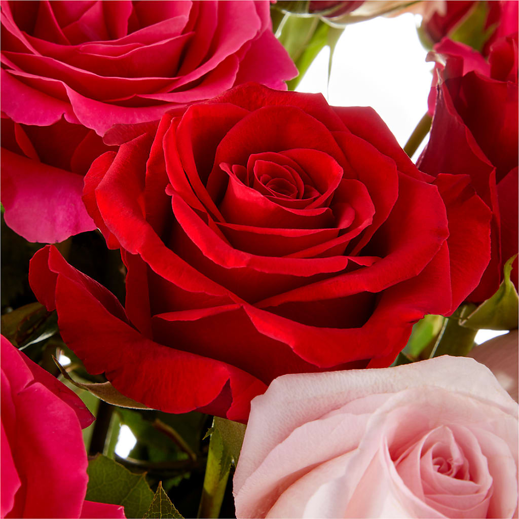 Love Notes Rose Bouquet –  Simply Flowers, Los Angeles CA