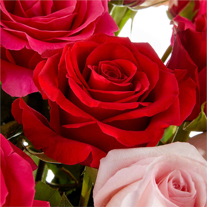 Love Notes Rose Bouquet –  Simply Flowers, Los Angeles CA