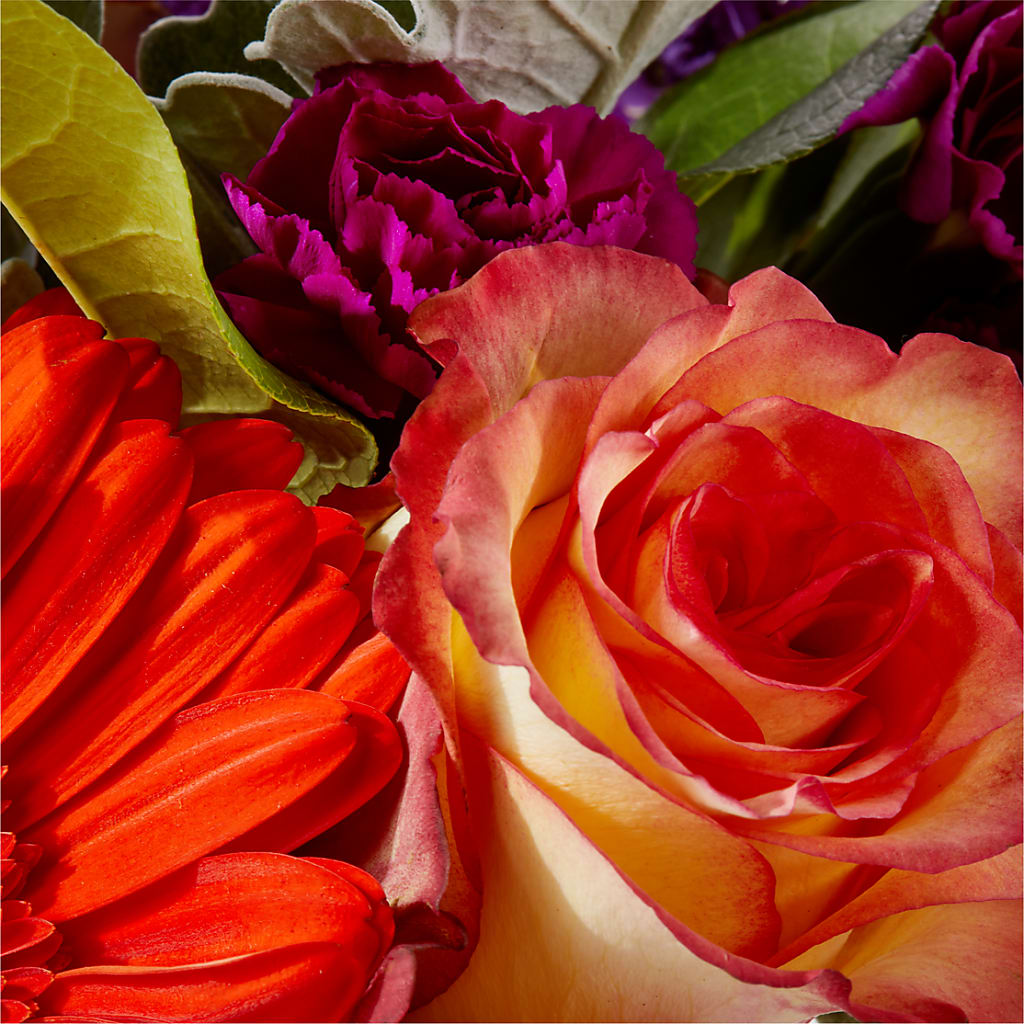 Sangria Bouquet –  Simply Flowers, Los Angeles CA