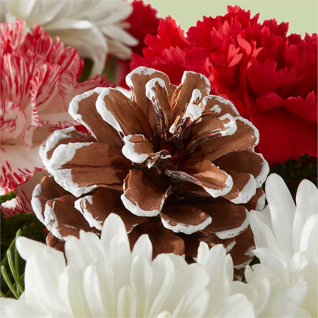 Candy Cane Lane Bouquet –  Simply Flowers, Los Angeles CA