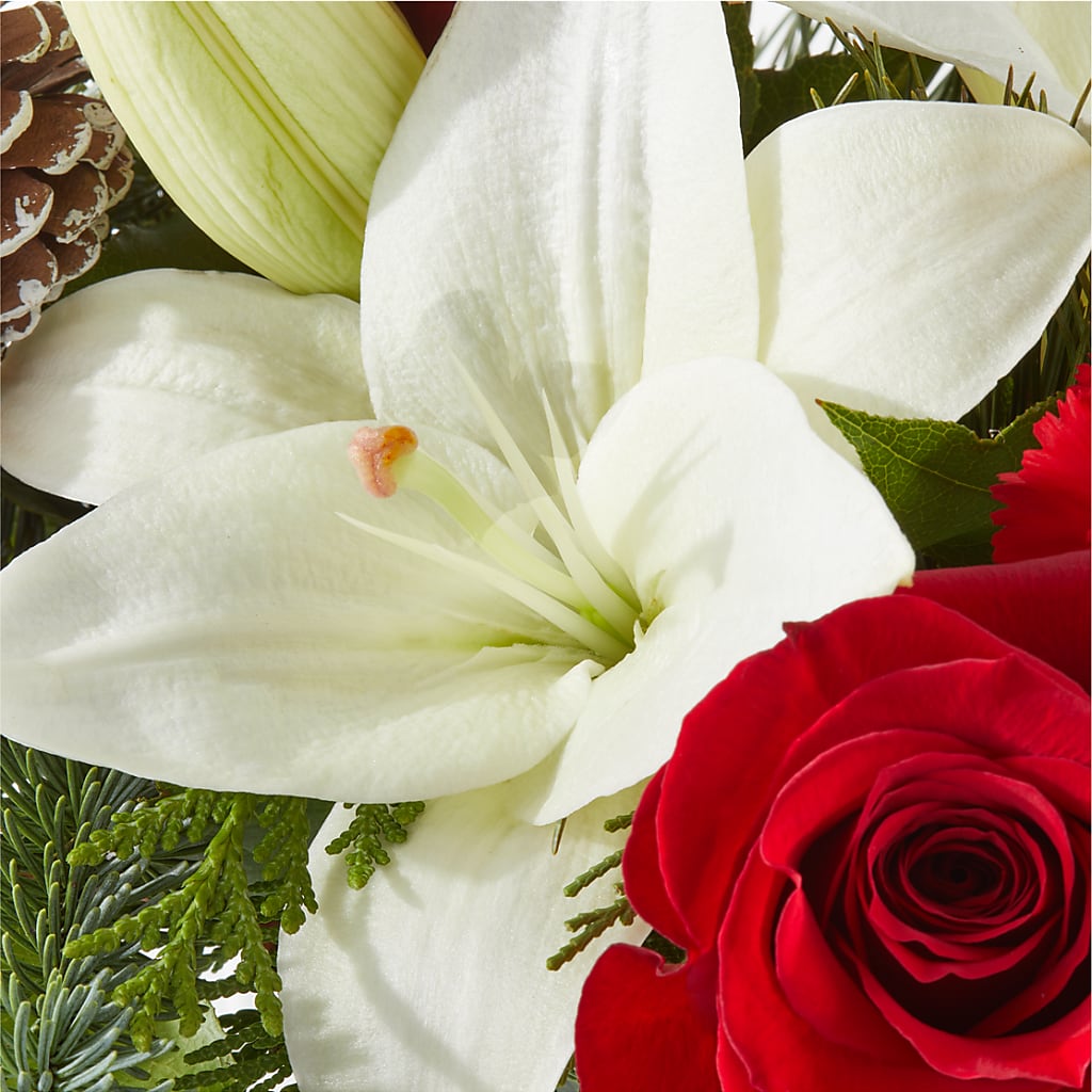 Oh So Jolly Bouquet –  Simply Flowers, Los Angeles CA