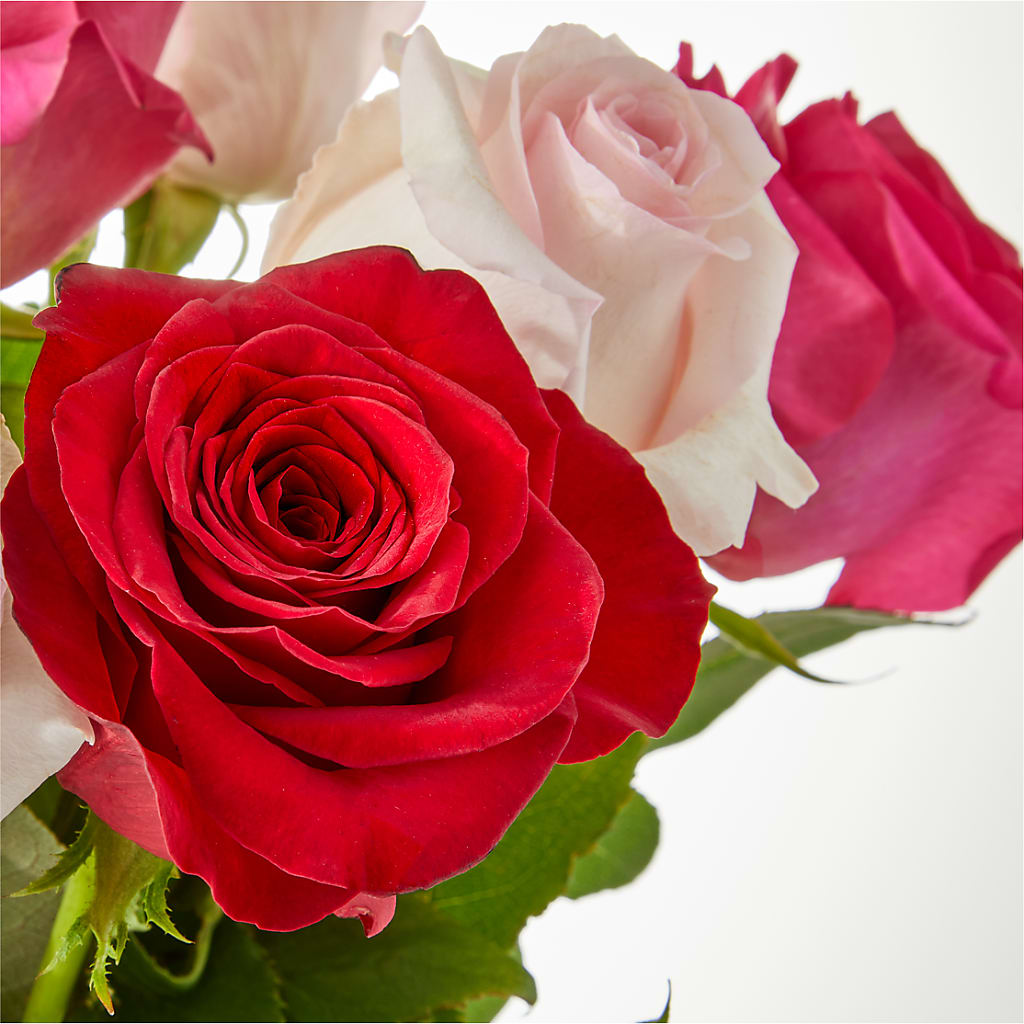 Charming Rose Bouquet –  Simply Flowers, Los Angeles CA