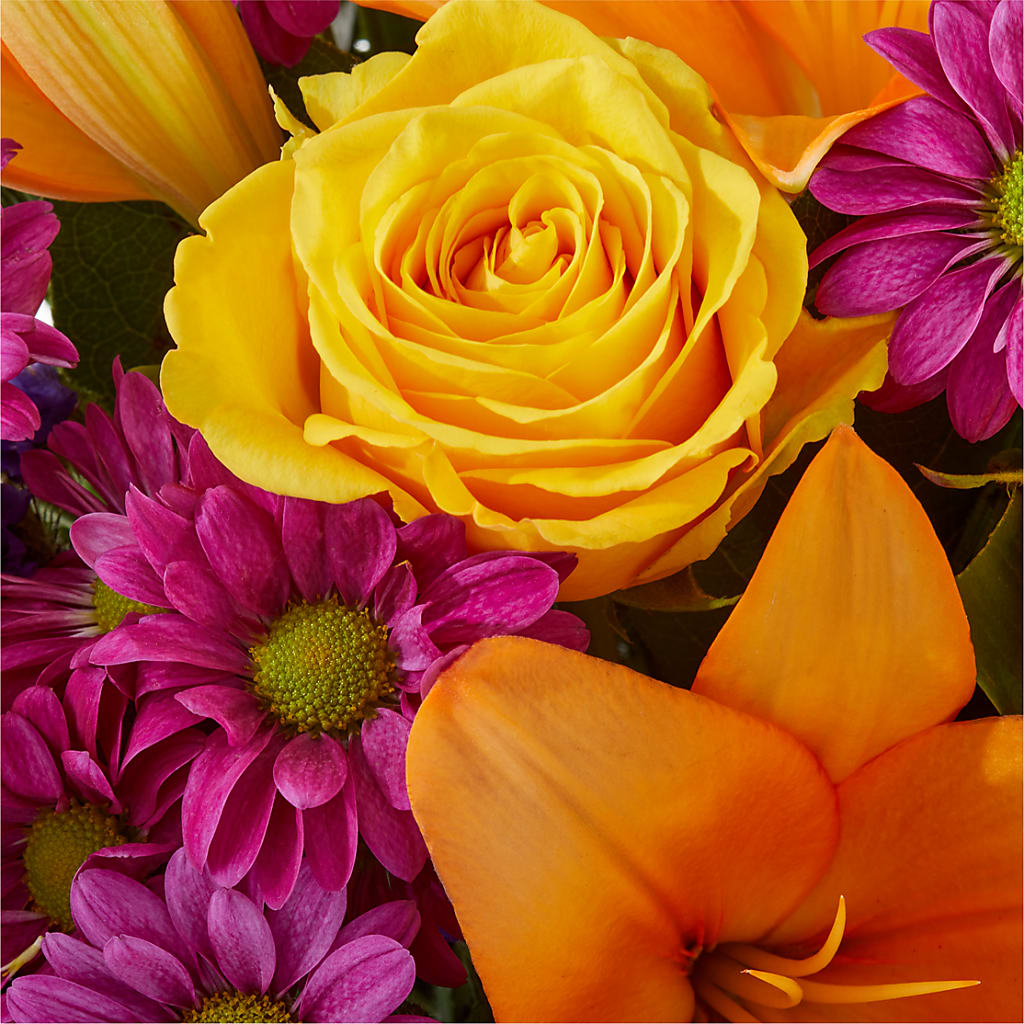 Colorful Visions Bouquet –  Simply Flowers, Los Angeles CA