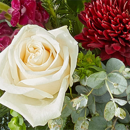 Cranberry Fizz Bouquet –  Simply Flowers, Los Angeles CA