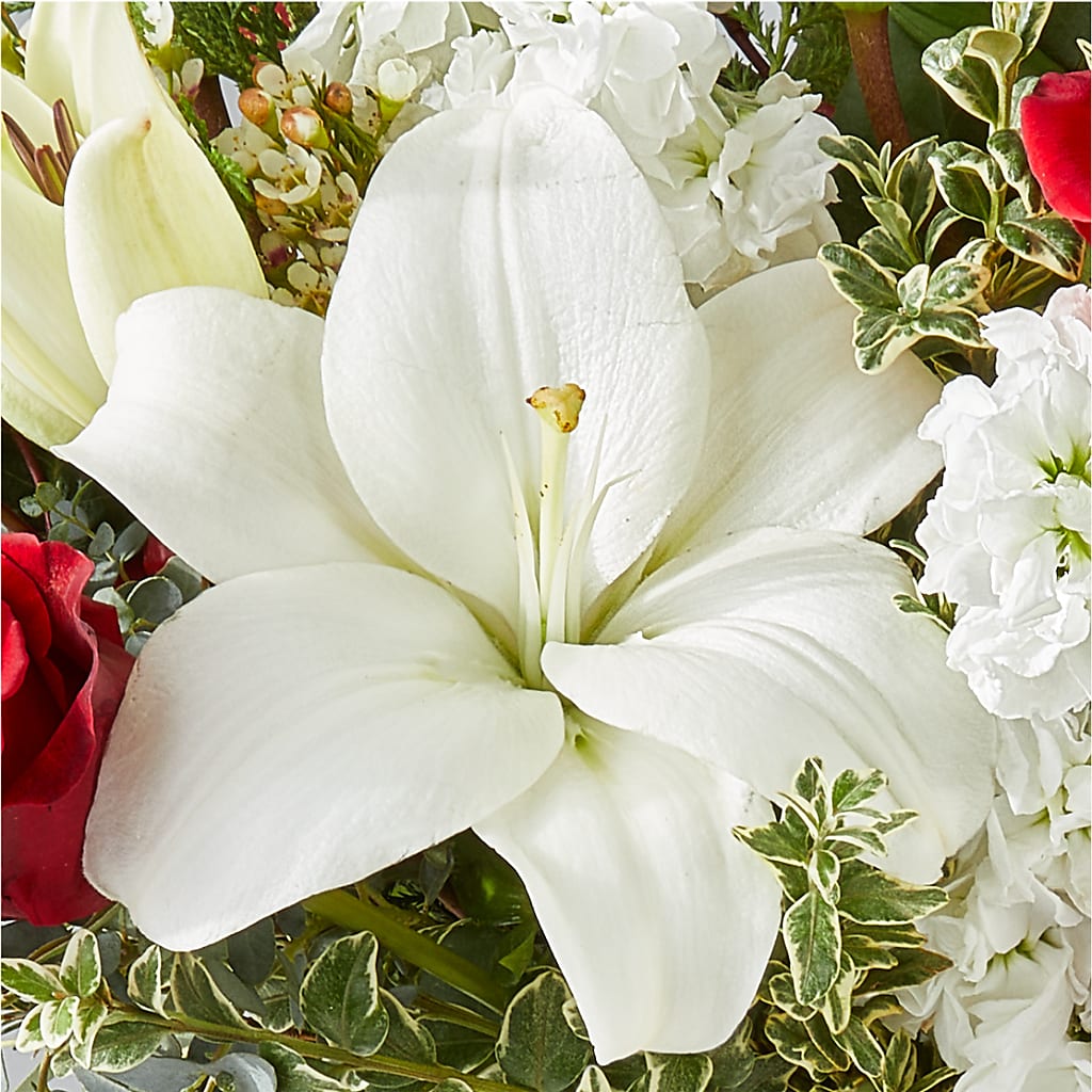 Twinkle Lights Bouquet –  Simply Flowers, Los Angeles CA