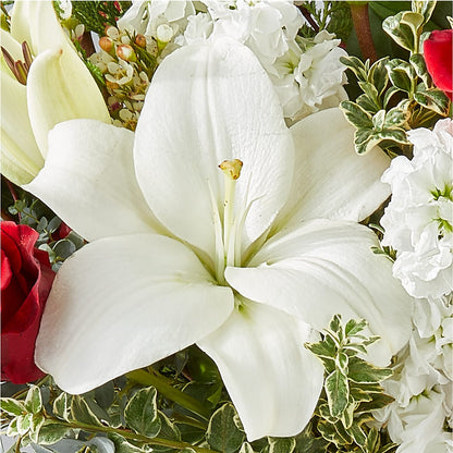 Twinkle Lights Bouquet –  Simply Flowers, Los Angeles CA