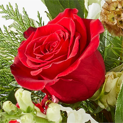 Deck the Halls Bouquet –  Simply Flowers, Los Angeles CA