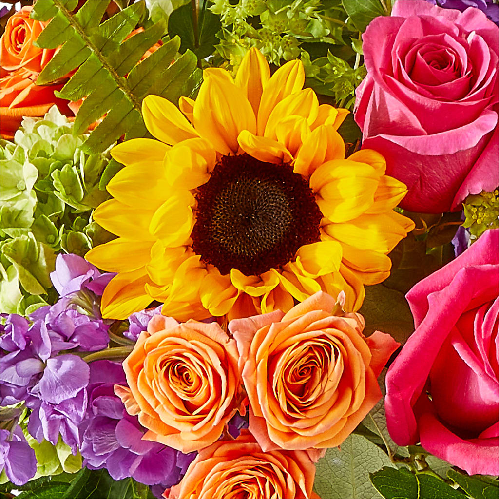 Vibrant Greetings Bouquet –  Simply Flowers, Los Angeles CA