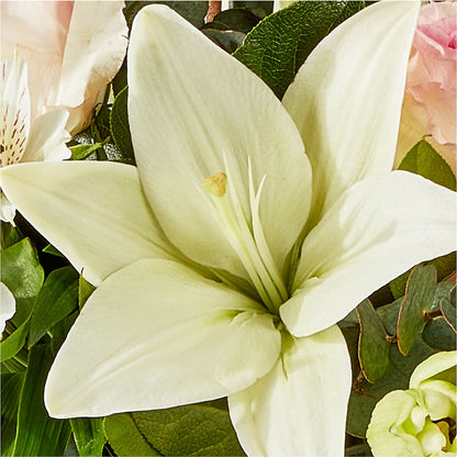 Ballet Slippers Bouquet –  Simply Flowers, Los Angeles CA