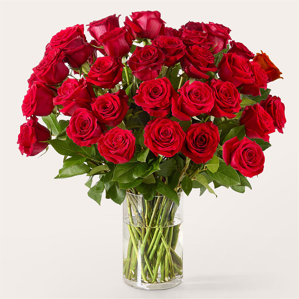 The One Red Rose Bouquet –  Simply Flowers, Los Angeles CA