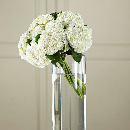 White Hydrangea Hand-Tied Bouquet –  Simply Flowers, Los Angeles CA